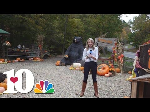 10About Town: Fall fun in Sevierville