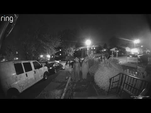 Trio wearing Halloween masks caught on camera trying to break into Alexandria home