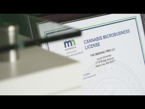 Albert Lea city council denies to register state's first pot shop, despite owner having a license