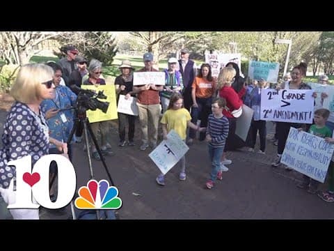Protesters rally for gun control in Knoxville