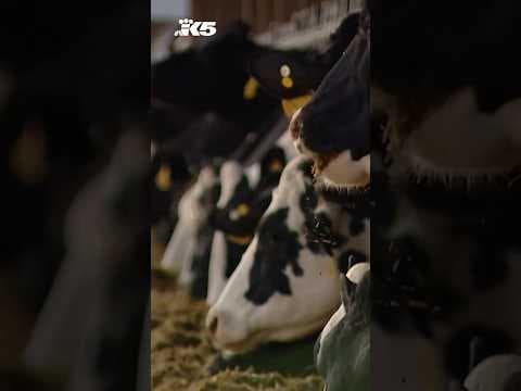 Washington farmers brace for impact of trade tariffs