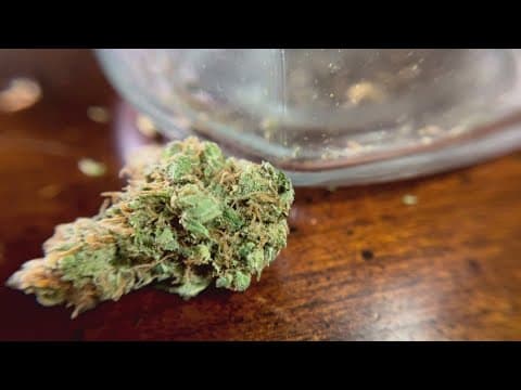 Here are a few highlights during the 2025 Tennessee legislative session