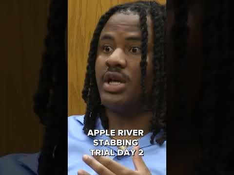 What happened in the Apple River stabbing trial?