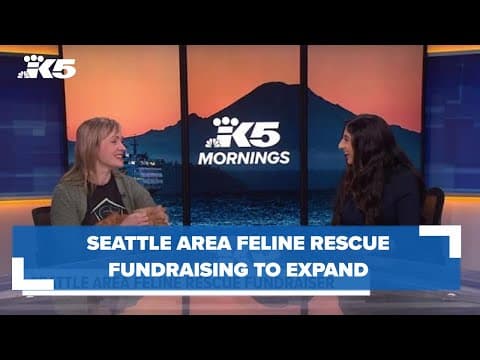 Seattle Area Feline Rescue fundraising to expand intake, medical care to thousands of cats
