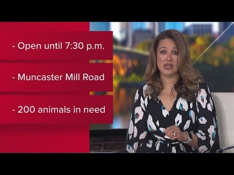 Montgomery County Animal Adoption Center in need of foster homes amid AC outage