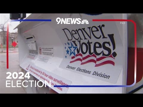Legal expert discusses election-related lawsuits
