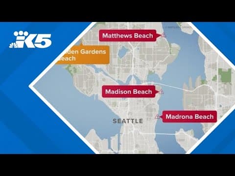 3 Seattle beaches closed due to high levels of bacteria