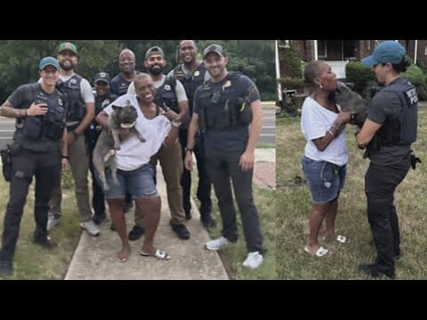 Yurman the Frenchie is home after being stolen in Southeast