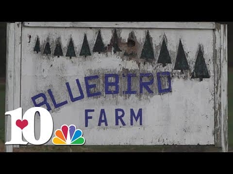 Bluebird Christmas Tree Farm gives back to hurricane-impacted farms in North Carolina