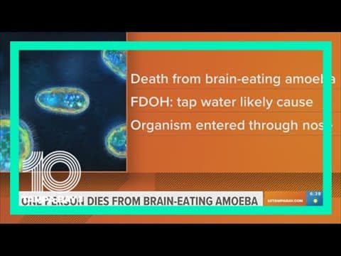Florida man dies from brain-eating amoeba after using tap water in sinus rinse