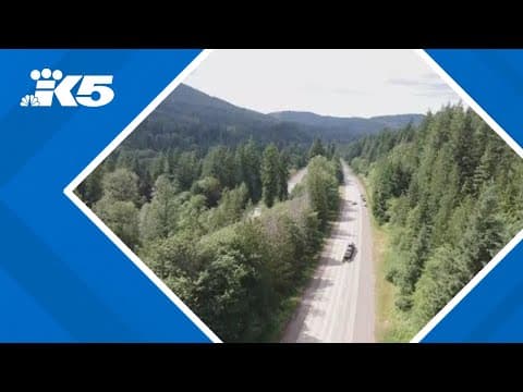 Pedestrian ran across I-90 before lethal collision