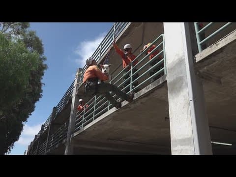Sheriff's Search and Rescue Unit Rappelling Training with K-9 unit