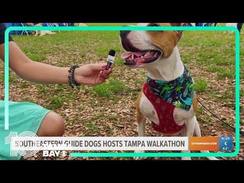 Southeastern Guide Dogs Hosts Tampa Walkathon