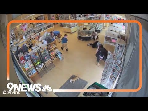 Surveillance video captures dramatic puppy theft, man fakes seizure as distraction