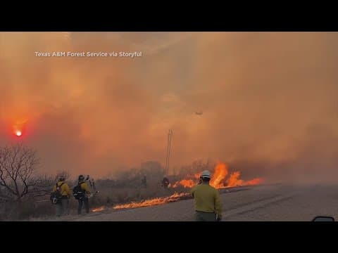 Power lines ignited the largest wildfire in Texas history, officials say