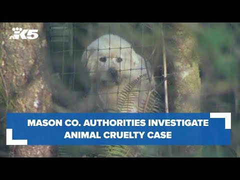 Mason County authorities investigate animal cruelty case involving over 60 animals