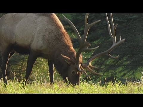 Pennsylvania Wilds | Chuck's Big Adventure in Pennsylvania