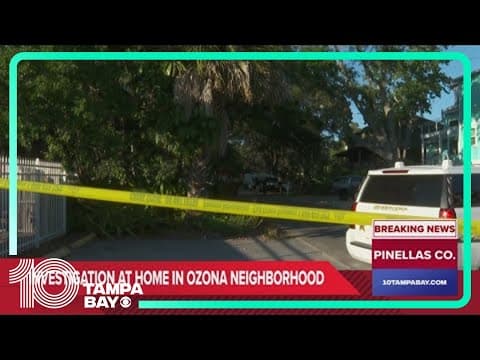 Pinellas County deputies respond to 'disturbance' in Ozona neighborhood