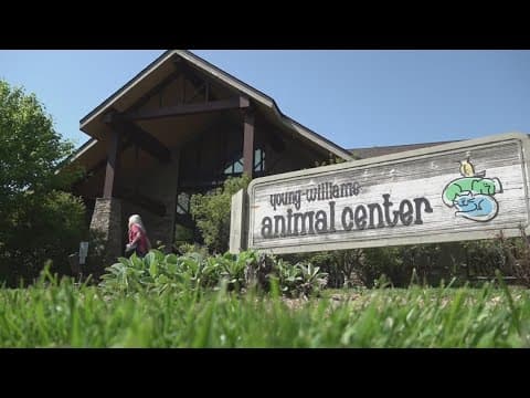Young-Williams Animal Center celebrates 1 year since taking over animal control in Knox County