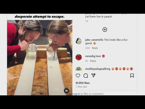 Protests over decades-long tradition of goldfish racing at Pacific Beach bar