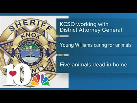 Charges pending after 38 animals removed from North Knox County home