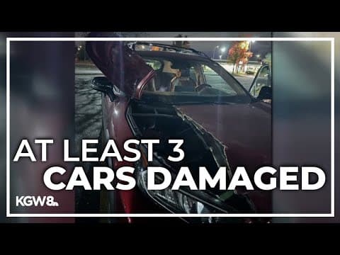 Cinder blocks thrown off Vancouver overpass onto cars