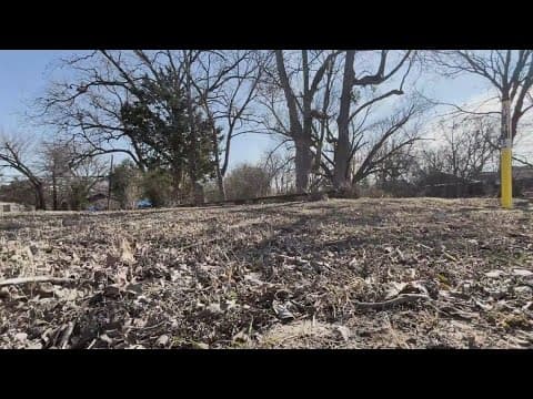 Dallas City Council approves new pocket park in North Oak Cliff to address 'park desert' communities