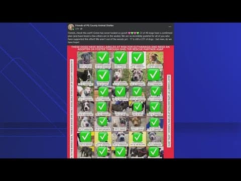 Dogs at Upper Marlboro shelter may be euthanized if not adopted by Tuesday night.