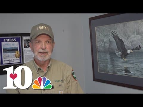 Campbell Co. to get $10,000 in flooding relief due to years-long battle with beavers community