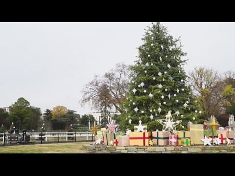 Holiday Tree lightings around the DMV