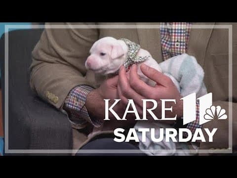 Ruff Start Rescue saves litter of 9 puppies