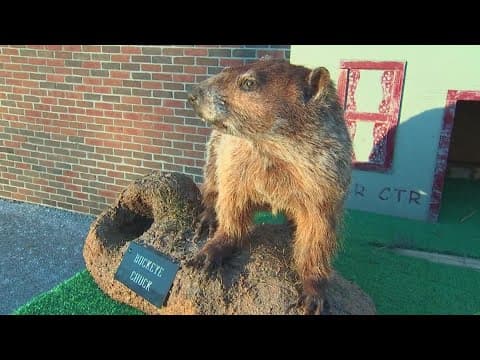 Buckeye Chuck did not leave den; 6 more weeks of winter predicted