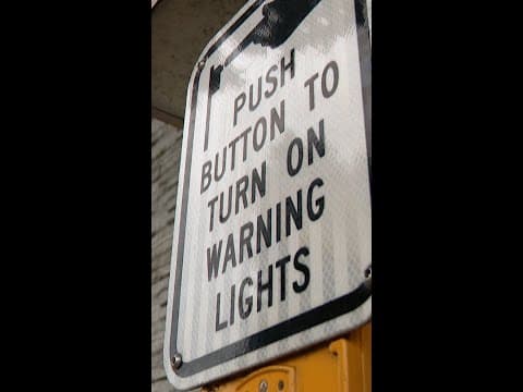 Olympia hit-and-run kills dog, victim says