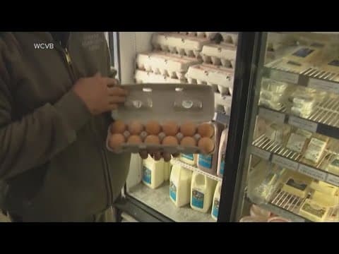 Egg prices may continue to increase, agriculture secretary says