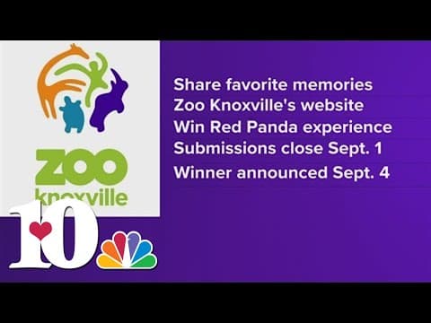 Zoo Knoxville collecting stories from visitors to celebrate 75 years of conservation and fun