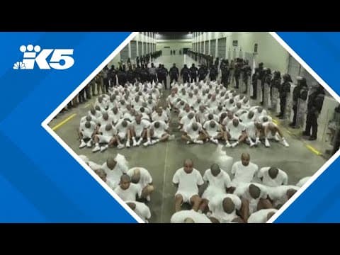 Legal showdown over deportation flights