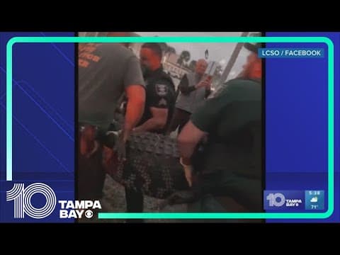 A massive alligator was removed from a Southwest Florida mall. Here's how big it was.