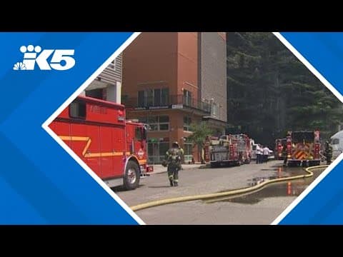 Brush fire sparks near Seattle's Rainier building, causing a smoky commute