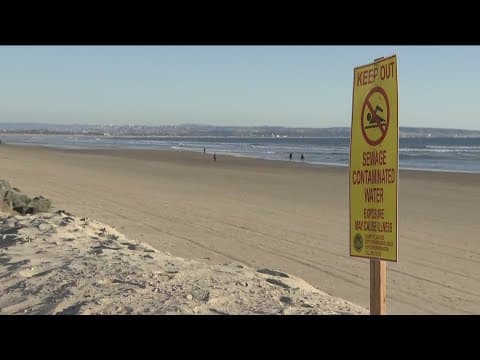 Coronado calling for local emergency declaration over sewage pollution