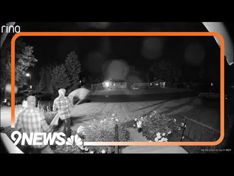 Thieves take Pride flags from Lakewood home