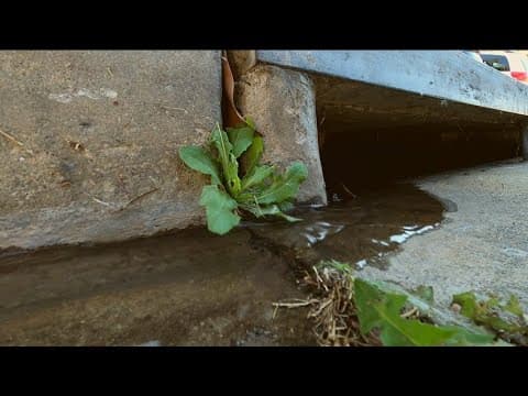 Keep Runoff in Check! | Campaign aims to minimize irrigation runoff and water contamination