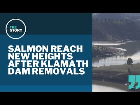 Chinook salmon seen passing upper Klamath River dam for the first time since lower dams removed