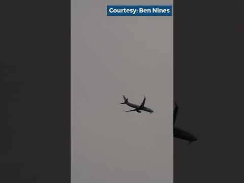 Plane engine catches fire after bird strike #shorts