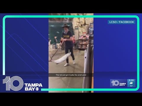 Florida man seen taking live tarpon from Bass Pro Shops indoor pond