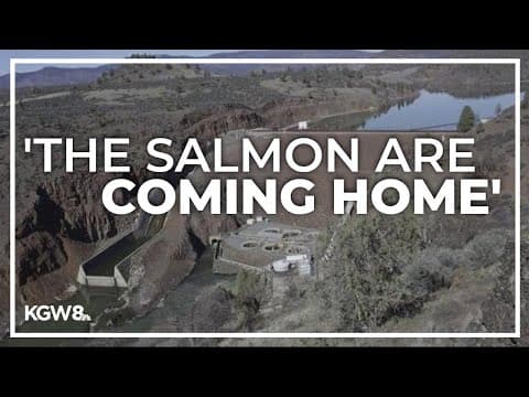 'The salmon are coming home': Work begins on Klamath River dam removal