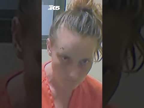 Suspect in deadly pursuit crash had 47 prior arrests