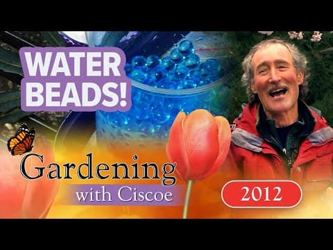 WATER BEADS! The Stylish Way to Water Your Flowers! | Gardening With Ciscoe | Full Episode