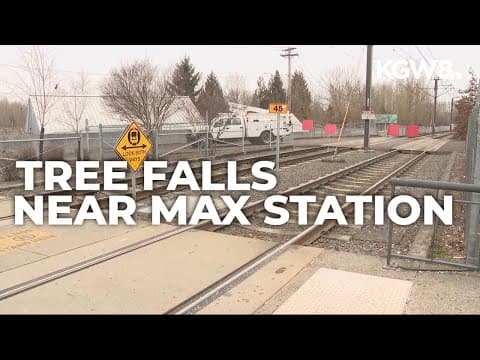 Tree falls on overhead wires near TriMet MAX station in North Portland; service suspended