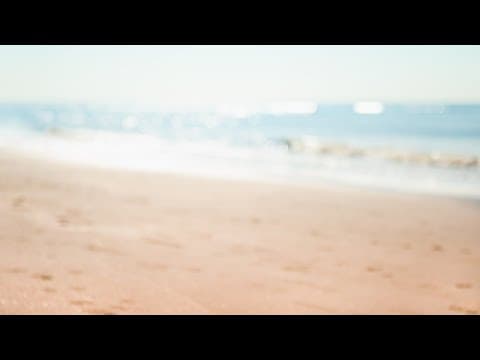 LIVE: Clearwater Beach on Memorial Day 2024