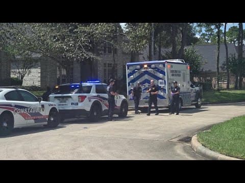 Baby rushed to hospital after dog attack in Spring